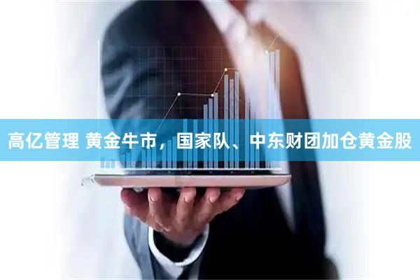 高亿管理 黄金牛市，国家队、中东财团加仓黄金股