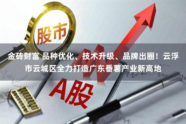 金砖财富 品种优化、技术升级、品牌出圈！云浮市云城区全力打造广东番薯产业新高地