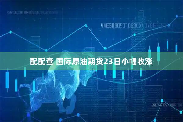 配配查 国际原油期货23日小幅收涨