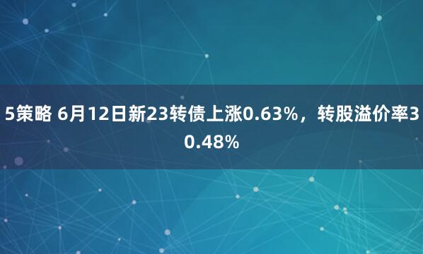 5策略 6月12日新23转债上涨0.63%，转股溢价率30.48%