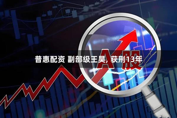 普惠配资 副部级王昊, 获刑13年