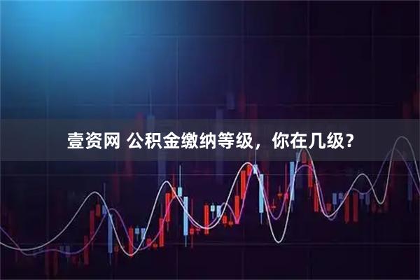 壹资网 公积金缴纳等级，你在几级？