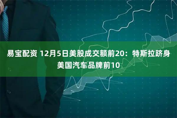 易宝配资 12月5日美股成交额前20：特斯拉跻身美国汽车品牌前10